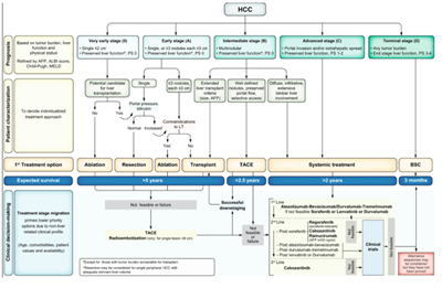 HẠN CHẾ CỦA HỆ THỐNG PHÂN LOẠI BARCELONA TRONG KỶ NGUYÊN CỦA  ĐIỀU TRỊ CÁ THỂ HÓA VÀ LIỆU PHÁP MIỄN DỊCH TRONG UNG THƯ GAN